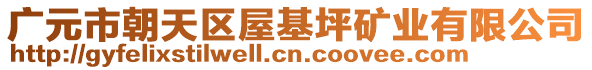 廣元市朝天區屋基坪礦業有限公司