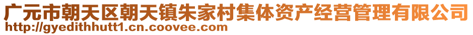 廣元市朝天區(qū)朝天鎮(zhèn)朱家村集體資產(chǎn)經(jīng)營管理有限公司