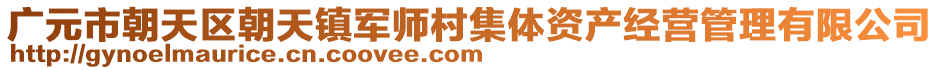 廣元市朝天區(qū)朝天鎮(zhèn)軍師村集體資產(chǎn)經(jīng)營管理有限公司