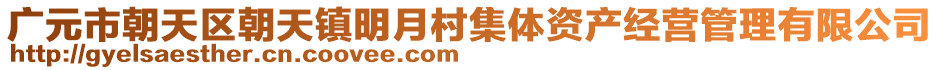 廣元市朝天區(qū)朝天鎮(zhèn)明月村集體資產(chǎn)經(jīng)營管理有限公司