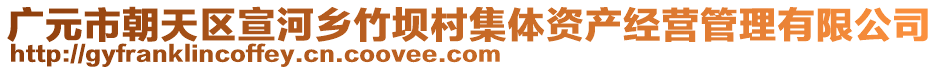 廣元市朝天區宣河鄉竹壩村集體資產經營管理有限公司
