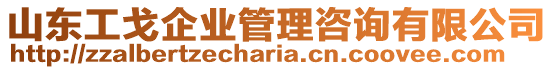 山東工戈企業(yè)管理咨詢有限公司