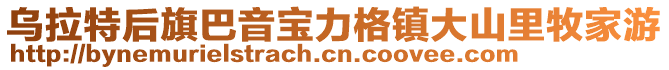 烏拉特后旗巴音寶力格鎮大山里牧家游