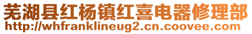 蕪湖縣紅楊鎮(zhèn)紅喜電器修理部
