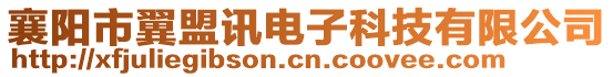 襄陽市翼盟訊電子科技有限公司