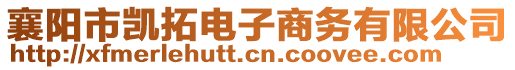 襄陽市凱拓電子商務(wù)有限公司