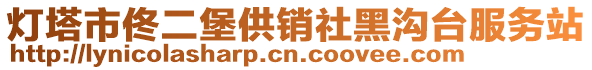 燈塔市佟二堡供銷社黑溝臺服務(wù)站