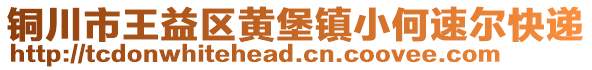 銅川市王益區(qū)黃堡鎮(zhèn)小何速爾快遞