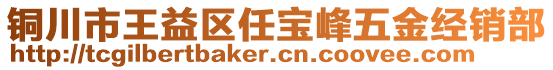 铜川市王益区任宝峰五金经销部