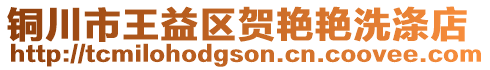 铜川市王益区贺艳艳洗涤店
