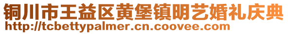 銅川市王益區(qū)黃堡鎮(zhèn)明藝婚禮慶典