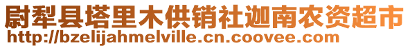 尉犁縣塔里木供銷社迦南農資超市
