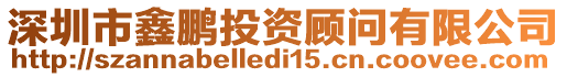 深圳市鑫鵬投資顧問(wèn)有限公司