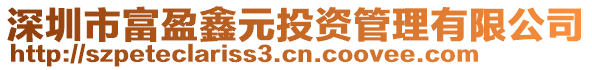 深圳市富盈鑫元投資管理有限公司