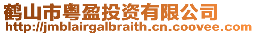 鹤山市粤盈投资有限公司