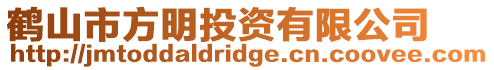 鶴山市方明投資有限公司
