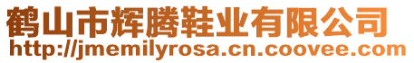 鶴山市輝騰鞋業(yè)有限公司