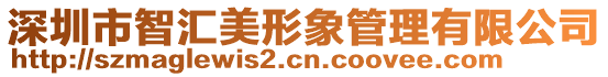 深圳市智匯美形象管理有限公司