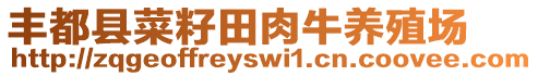 豐都縣菜籽田肉牛養(yǎng)殖場