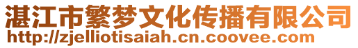 湛江市繁夢(mèng)文化傳播有限公司