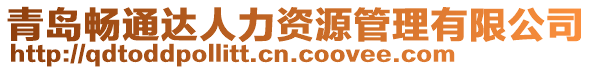 青島暢通達(dá)人力資源管理有限公司