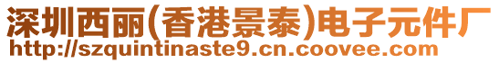 深圳西麗(香港景泰)電子元件廠