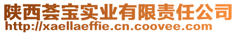 陜西薈寶實(shí)業(yè)有限責(zé)任公司