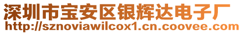 深圳市寶安區(qū)銀輝達(dá)電子廠