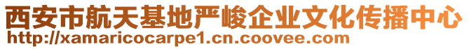 西安市航天基地嚴(yán)峻企業(yè)文化傳播中心