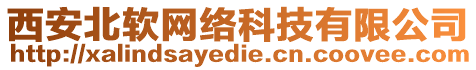 西安北軟網(wǎng)絡(luò)科技有限公司