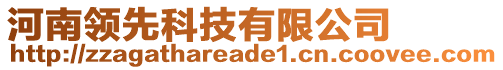 河南領(lǐng)先科技有限公司
