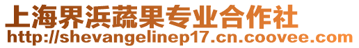 上海界浜蔬果專業(yè)合作社