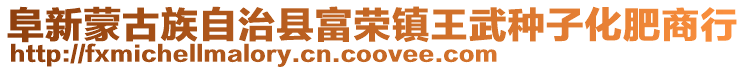 阜新蒙古族自治縣富榮鎮王武種子化肥商行