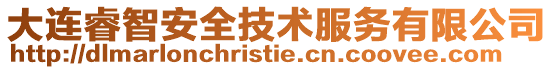 大連睿智安全技術服務有限公司
