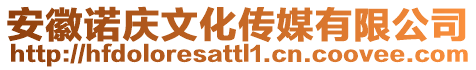 安徽諾慶文化傳媒有限公司