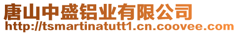 唐山中盛鋁業(yè)有限公司