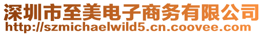 深圳市至美電子商務有限公司