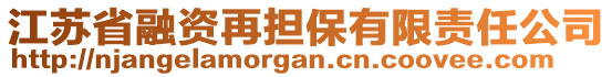 江蘇省融資再擔(dān)保有限責(zé)任公司