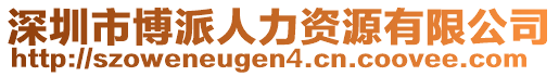 深圳市博派人力資源有限公司