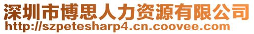 深圳市博思人力資源有限公司