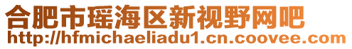 合肥市瑤海區(qū)新視野網(wǎng)吧