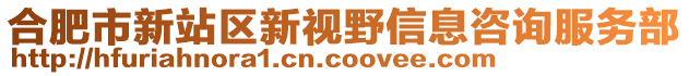 合肥市新站區(qū)新視野信息咨詢服務(wù)部