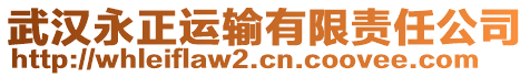 武漢永正運(yùn)輸有限責(zé)任公司