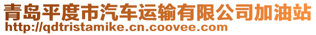 青島平度市汽車運(yùn)輸有限公司加油站