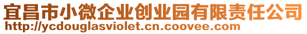 宜昌市小微企業(yè)創(chuàng)業(yè)園有限責(zé)任公司