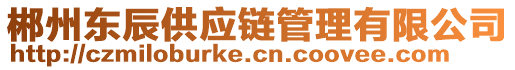 郴州東辰供應(yīng)鏈管理有限公司