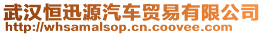 武漢恒迅源汽車貿(mào)易有限公司