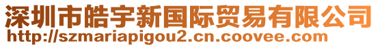 深圳市皓宇新國際貿(mào)易有限公司