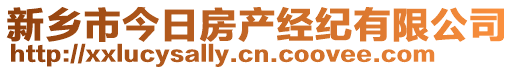 新鄉(xiāng)市今日房產(chǎn)經(jīng)紀有限公司