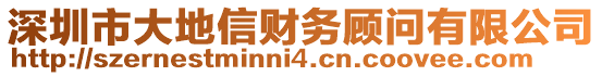 深圳市大地信財務顧問有限公司